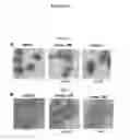 Fig. 16 - Compositions comprising thienopyrimidine and thienopyridine compounds and methods of use thereof