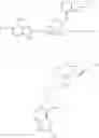 Fig. 508 - Compositions comprising thienopyrimidine and thienopyridine compounds and methods of use thereof