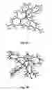 Fig. 02 - Organoboron compounds and methods of making same