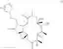 Fig. 02 - Convergent processes for preparing macrolide antibacterial agents