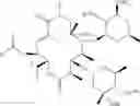 Fig. 03 - Convergent processes for preparing macrolide antibacterial agents