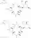 Fig. 110 - Convergent processes for preparing macrolide antibacterial agents