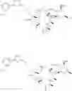Fig. 149 - Convergent processes for preparing macrolide antibacterial agents