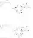 Fig. 26 - Convergent processes for preparing macrolide antibacterial agents
