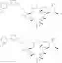 Fig. 48 - Convergent processes for preparing macrolide antibacterial agents