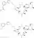 Fig. 58 - Convergent processes for preparing macrolide antibacterial agents