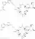 Fig. 60 - Convergent processes for preparing macrolide antibacterial agents