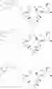 Fig. 75 - Convergent processes for preparing macrolide antibacterial agents