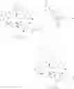 Fig. 91 - Convergent processes for preparing macrolide antibacterial agents