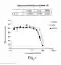 Fig. 07 - Ras inhibitors and uses thereof