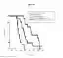 Fig. 06 - Optimized in vivo delivery system with endosomolytic agents for nucleic acid conjugates