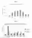 Fig. 08 - Optimized in vivo delivery system with endosomolytic agents for nucleic acid conjugates
