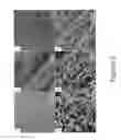 Fig. 07 - Controlled cross-linking processing of proteins