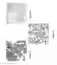 Fig. 10 - Controlled cross-linking processing of proteins