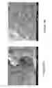 Fig. 12 - Controlled cross-linking processing of proteins