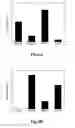 Fig. 08 - Peptide Ligand with Antibody Selectivity and the Application Thereof
