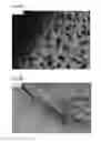 Fig. 06 - βsheet tapes ribbons in tissue engineering