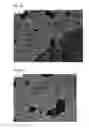Fig. 07 - βsheet tapes ribbons in tissue engineering