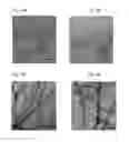 Fig. 08 - βsheet tapes ribbons in tissue engineering
