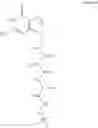 Fig. 47 - Stabilized SOS1 peptides