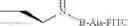 Fig. 50 - Stabilized SOS1 peptides