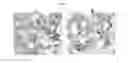 Fig. 10 - STAPLING eIF4E INTERACTING PEPTIDES