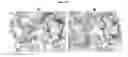 Fig. 11 - STAPLING eIF4E INTERACTING PEPTIDES