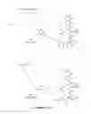 Fig. 10 - Modulation of structured polypeptide specificity