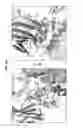 Fig. 06 - Prefusion RSV F proteins and their use