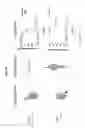 Fig. 14 - Prefusion RSV F proteins and their use