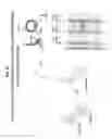 Fig. 16 - Prefusion RSV F proteins and their use