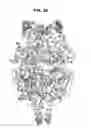 Fig. 25 - Prefusion RSV F proteins and their use
