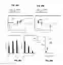 Fig. 34 - Prefusion RSV F proteins and their use