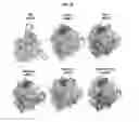 Fig. 40 - Prefusion RSV F proteins and their use