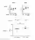 Fig. 44 - Prefusion RSV F proteins and their use