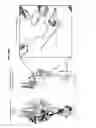 Fig. 47 - Prefusion RSV F proteins and their use