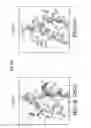 Fig. 66 - Prefusion RSV F proteins and their use