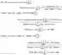 Fig. 03 - LOW MOLECULAR WEIGHT SILK COMPOSITIONS AND STABILIZING SILK COMPOSITIONS