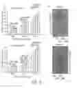 Fig. 10 - LOW MOLECULAR WEIGHT SILK COMPOSITIONS AND STABILIZING SILK COMPOSITIONS