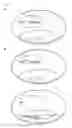 Fig. 02 - ARTIFICIAL TRANSCRIPTION FACTORS ENGINEERED TO OVERCOME ENDOSOMAL ENTRAPMENT