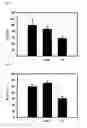 Fig. 07 - ARTIFICIAL TRANSCRIPTION FACTORS ENGINEERED TO OVERCOME ENDOSOMAL ENTRAPMENT