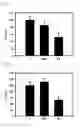 Fig. 08 - ARTIFICIAL TRANSCRIPTION FACTORS ENGINEERED TO OVERCOME ENDOSOMAL ENTRAPMENT