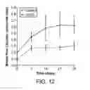 Fig. 14 - Vectors and methods to treat ischemia