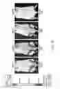 Fig. 18 - Vectors and methods to treat ischemia