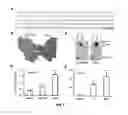 Fig. 02 - GM-CSF and IL-4 conjugates, compositions, and methods related thereto