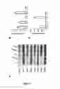 Fig. 05 - GM-CSF and IL-4 conjugates, compositions, and methods related thereto