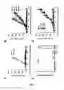 Fig. 08 - GM-CSF and IL-4 conjugates, compositions, and methods related thereto