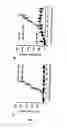 Fig. 11 - GM-CSF and IL-4 conjugates, compositions, and methods related thereto