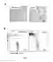 Fig. 12 - GM-CSF and IL-4 conjugates, compositions, and methods related thereto