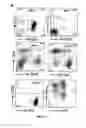 Fig. 20 - GM-CSF and IL-4 conjugates, compositions, and methods related thereto